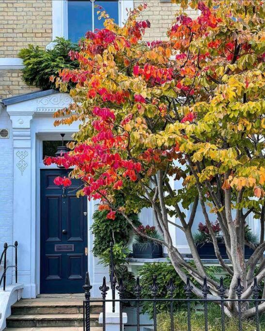 Chelsea Posh Apartment Londres Exterior foto